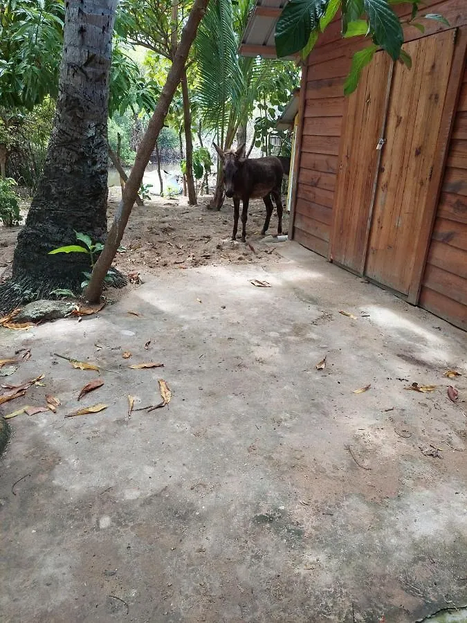 普拉塔港Cabana Playa Cambiaso住宿加早餐旅馆 住宿加早餐酒店 普拉塔港